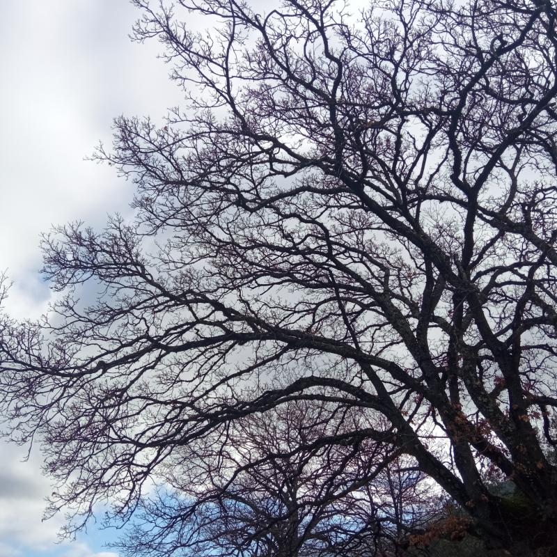 Fotosegnalazione di Palombara sabina