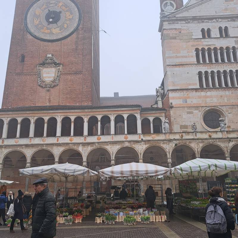Fotosegnalazione di Cremona centro urbano