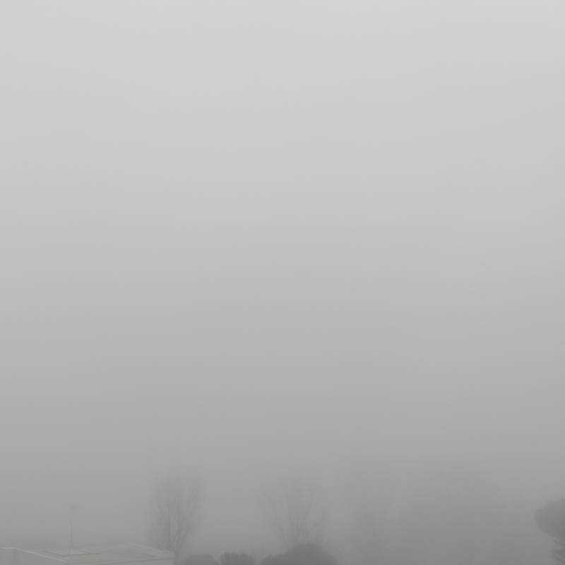 Nebbia in quel di Cervia