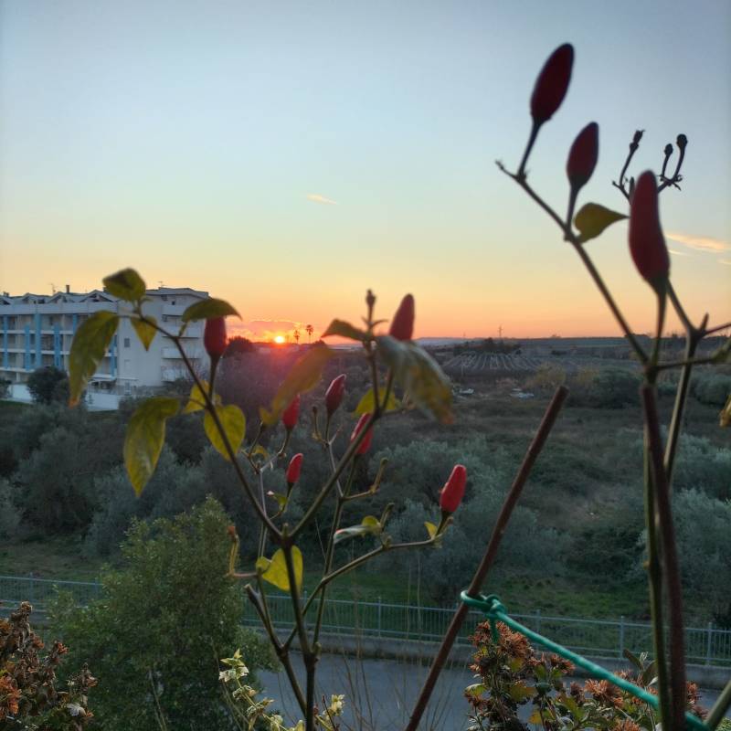 Fotosegnalazione di Vasto