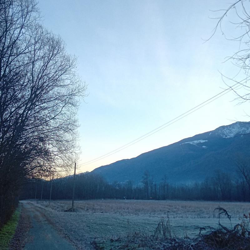 Fotosegnalazione di Castione andevenno