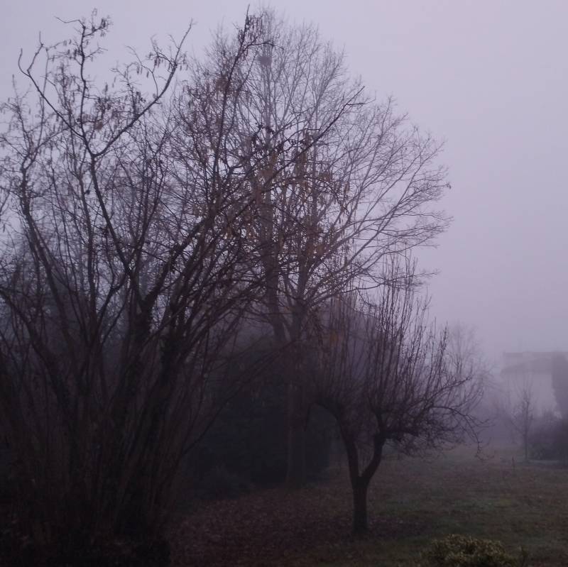 Fotosegnalazione di Montagnana