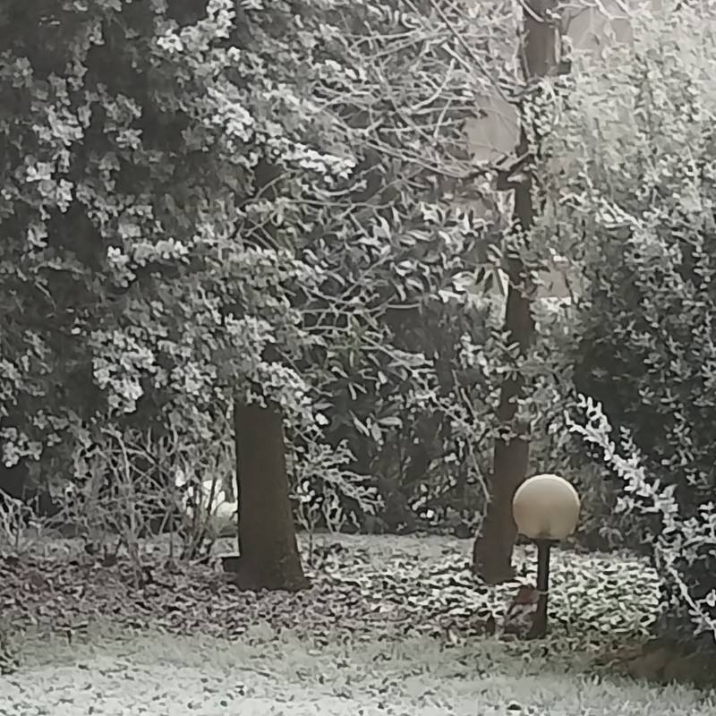 Fotosegnalazione di Remedello