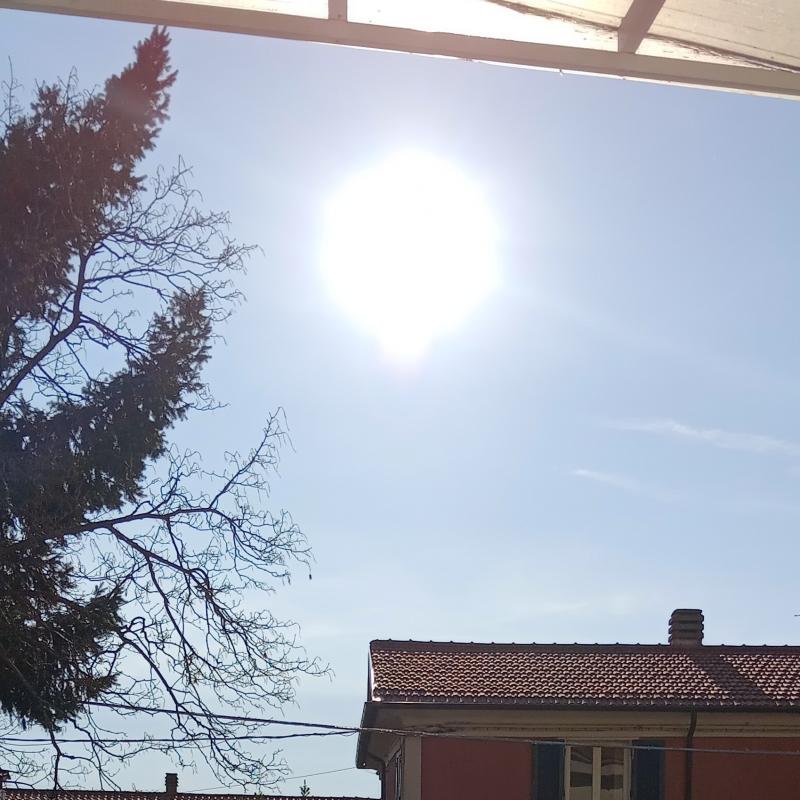 Fotosegnalazione di Massa centro urbano