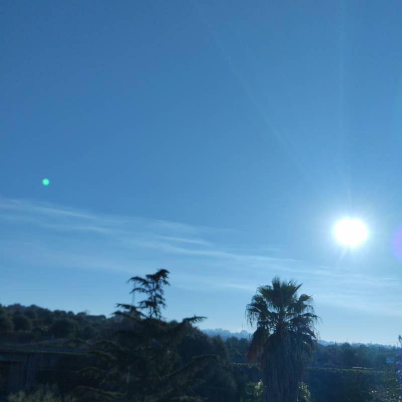 Fotosegnalazione di Paterno'