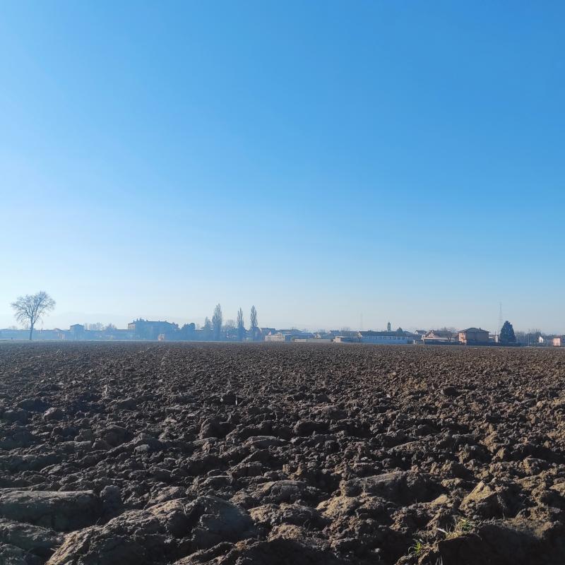 Fotosegnalazione di Zerbo