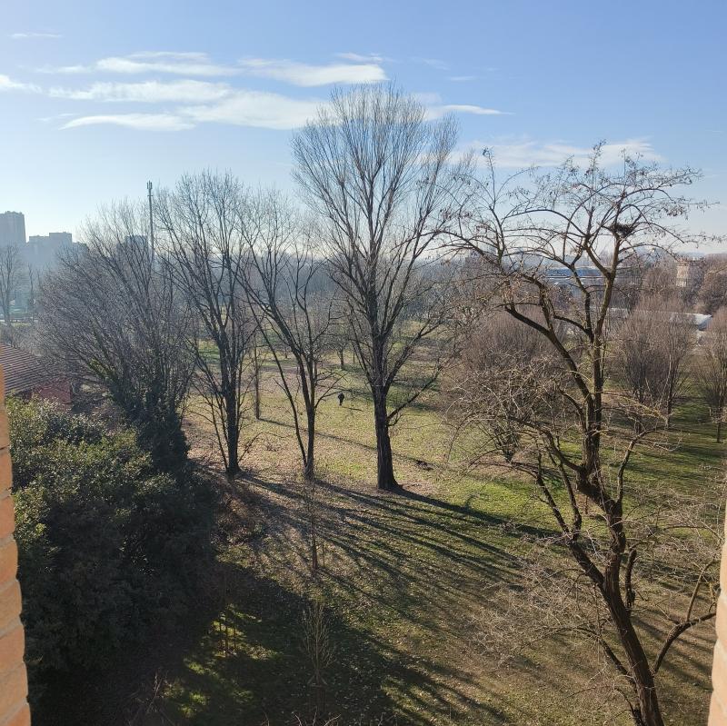 Fotosegnalazione di Milano affori