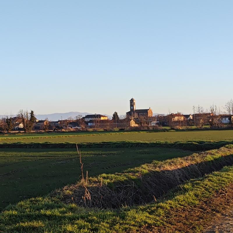 Fotosegnalazione di Gambarana