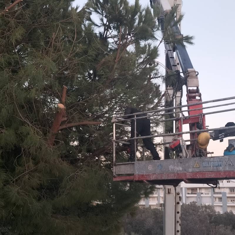 Fotosegnalazione di Vasto