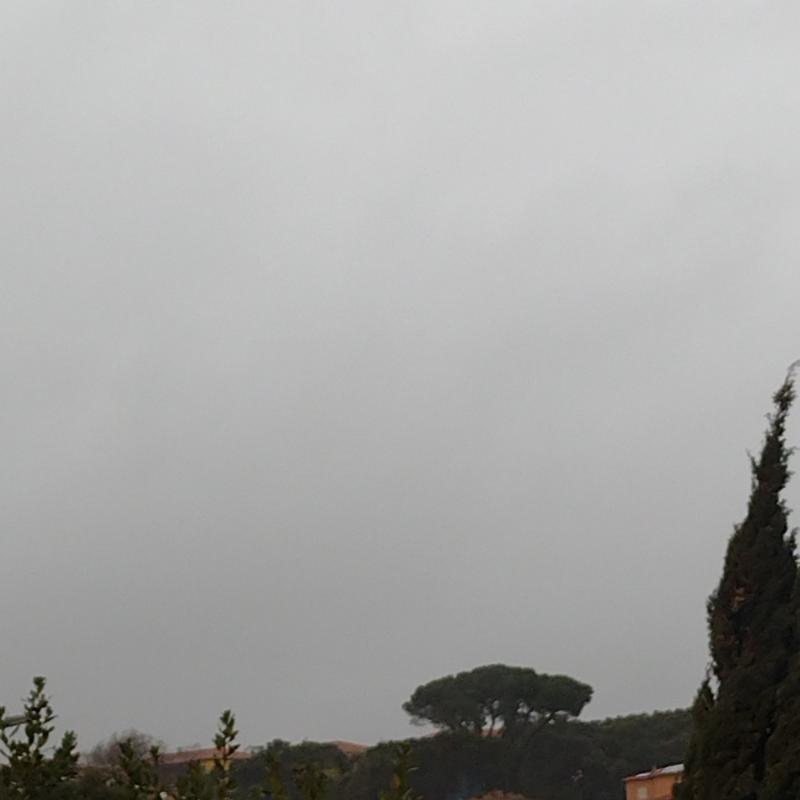 Fotosegnalazione di Tempio pausania