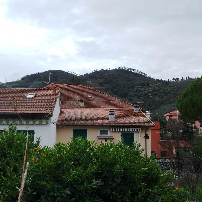 Fotosegnalazione di Sestri levante