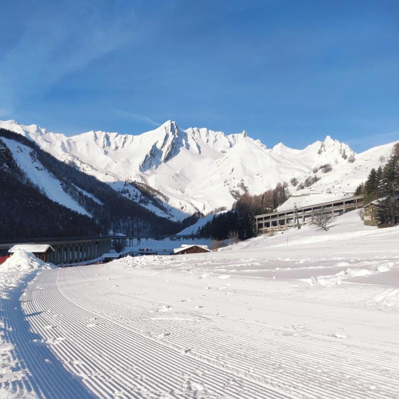 Fotosegnalazione di Crevacol