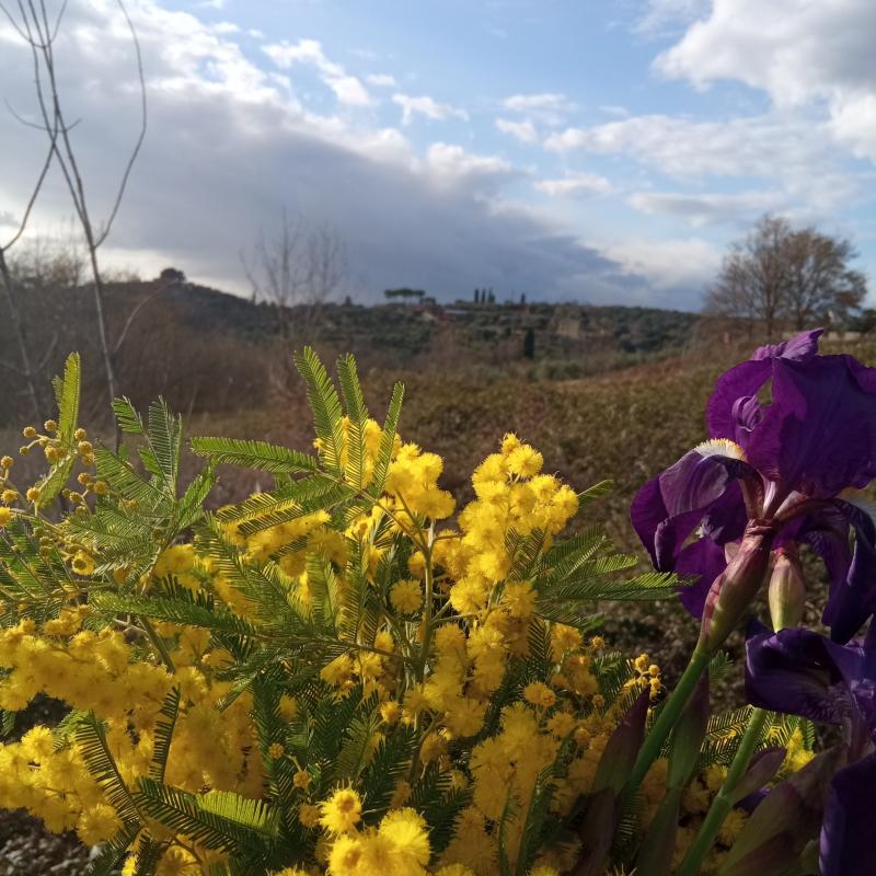 Fotosegnalazione di Palombara sabina