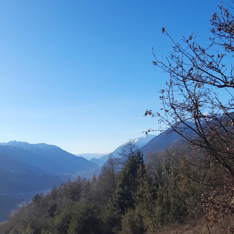 Fotosegnalazione di Teglio