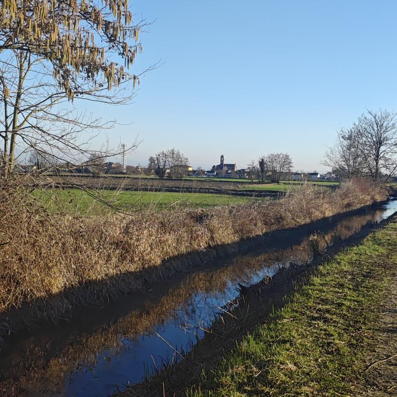 Fotosegnalazione di Gambarana