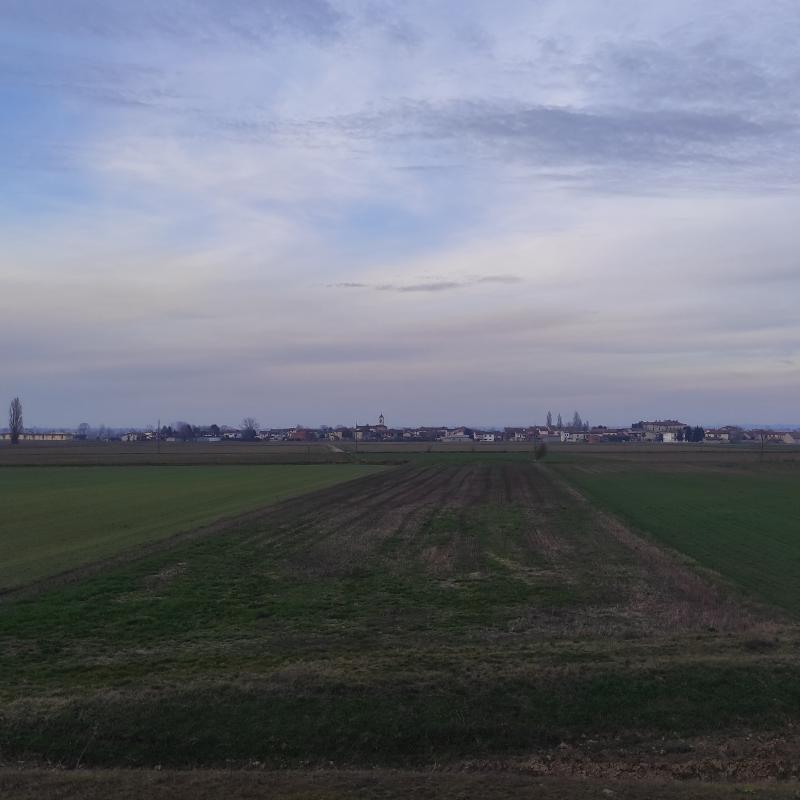 Fotosegnalazione di Zerbo