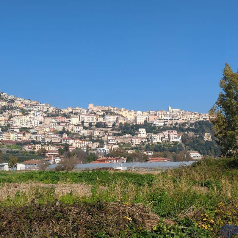 Fotosegnalazione di Monte san biagio