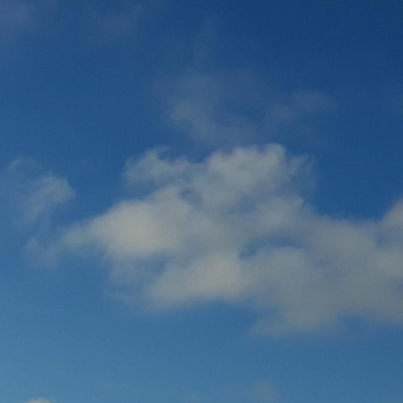 Fotosegnalazione di Tarquinia lido