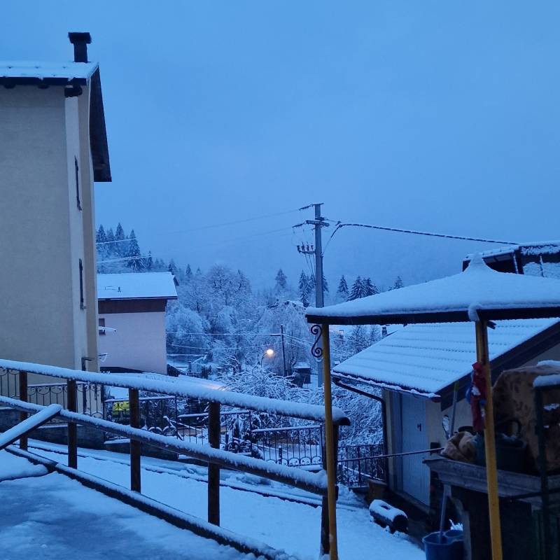 Fotosegnalazione di Paluzza