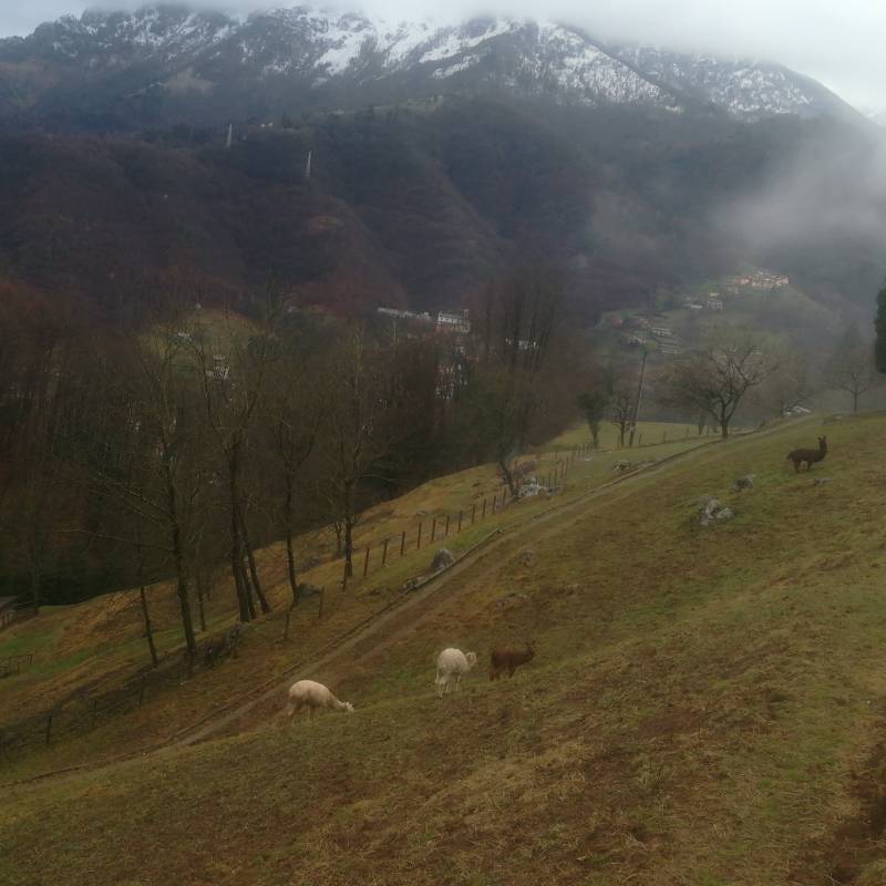 Fotosegnalazione di San giovanni bianco