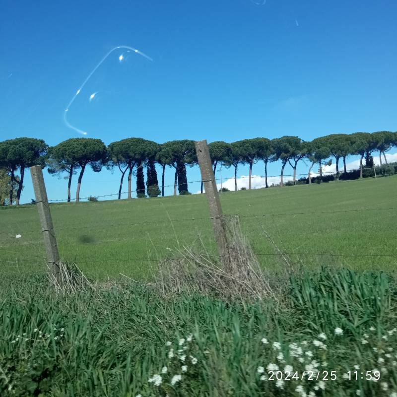 Fotosegnalazione di Palombara sabina