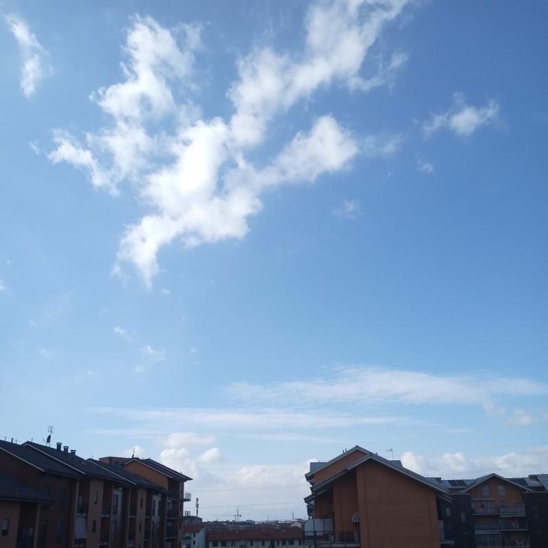 Fotosegnalazione di Settimo torinese