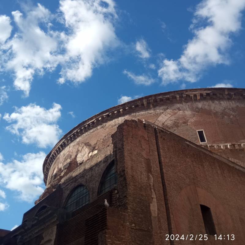 Fotosegnalazione di Roma pigna