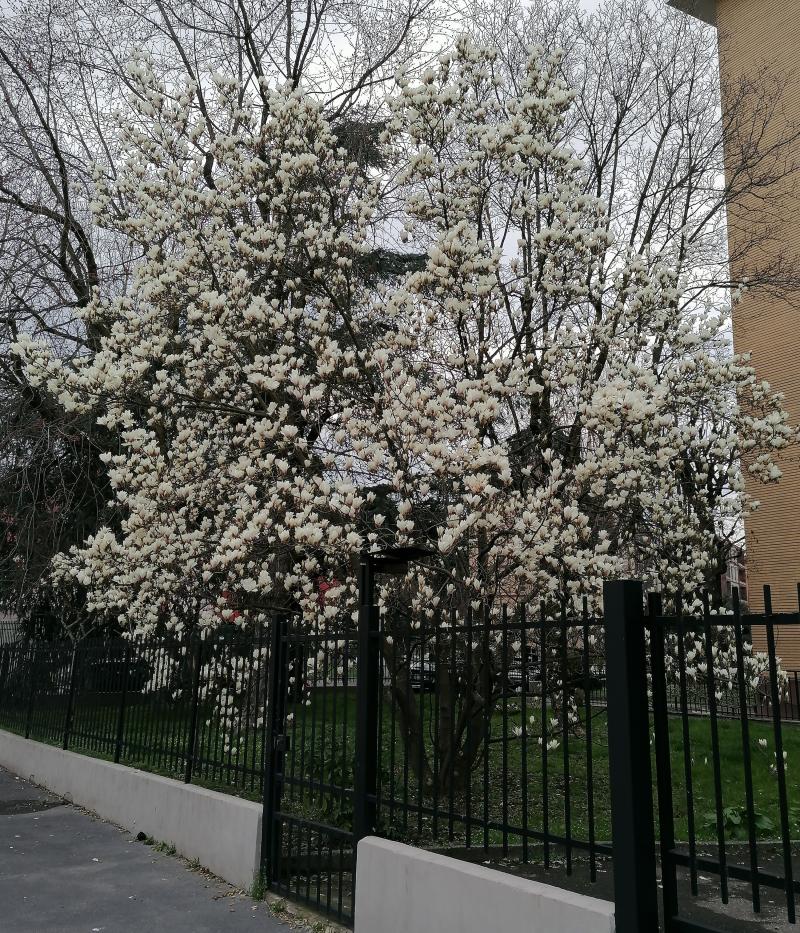anticipo di primavera