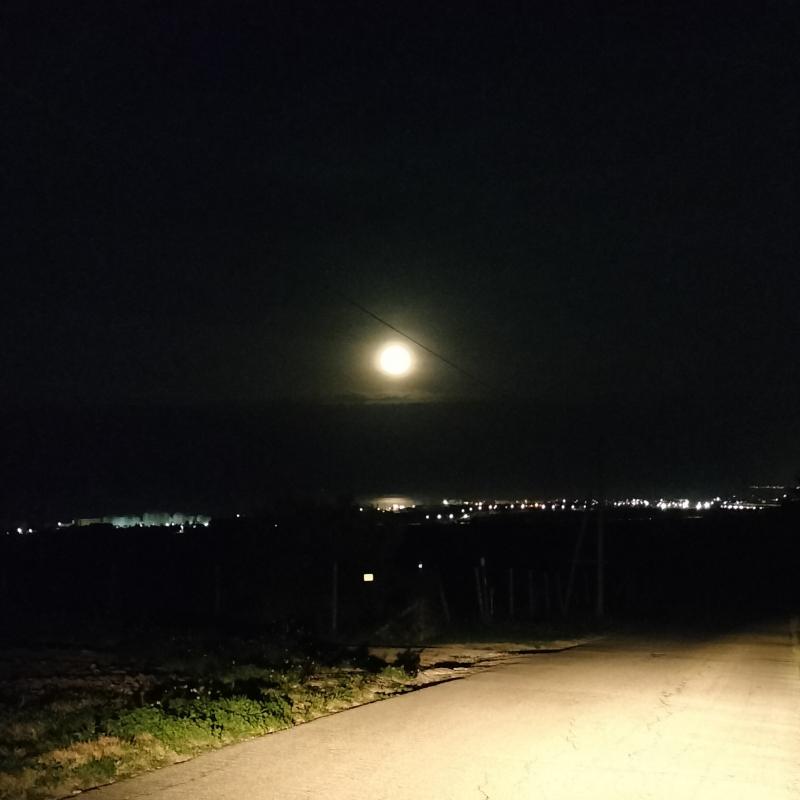 Fotosegnalazione di Vasto
