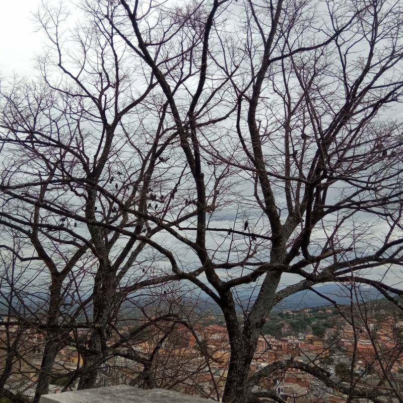 Fotosegnalazione di Palombara sabina