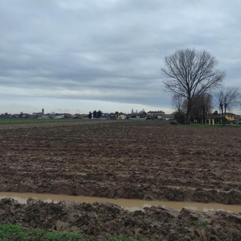 Fotosegnalazione di Zerbo