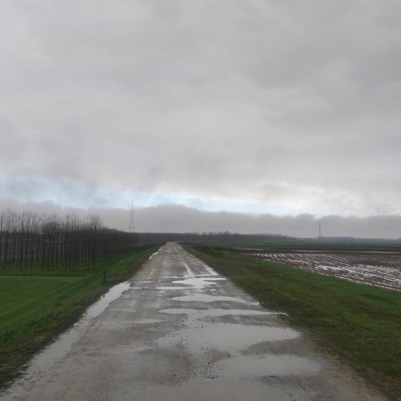 Fotosegnalazione di Zerbo