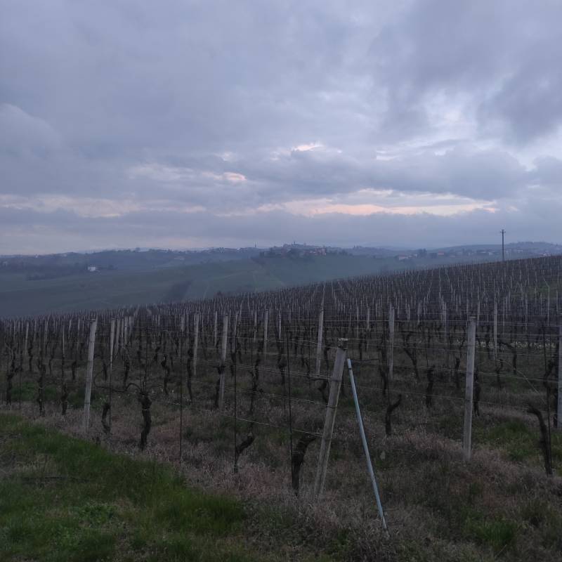 Fotosegnalazione di Montu' beccaria