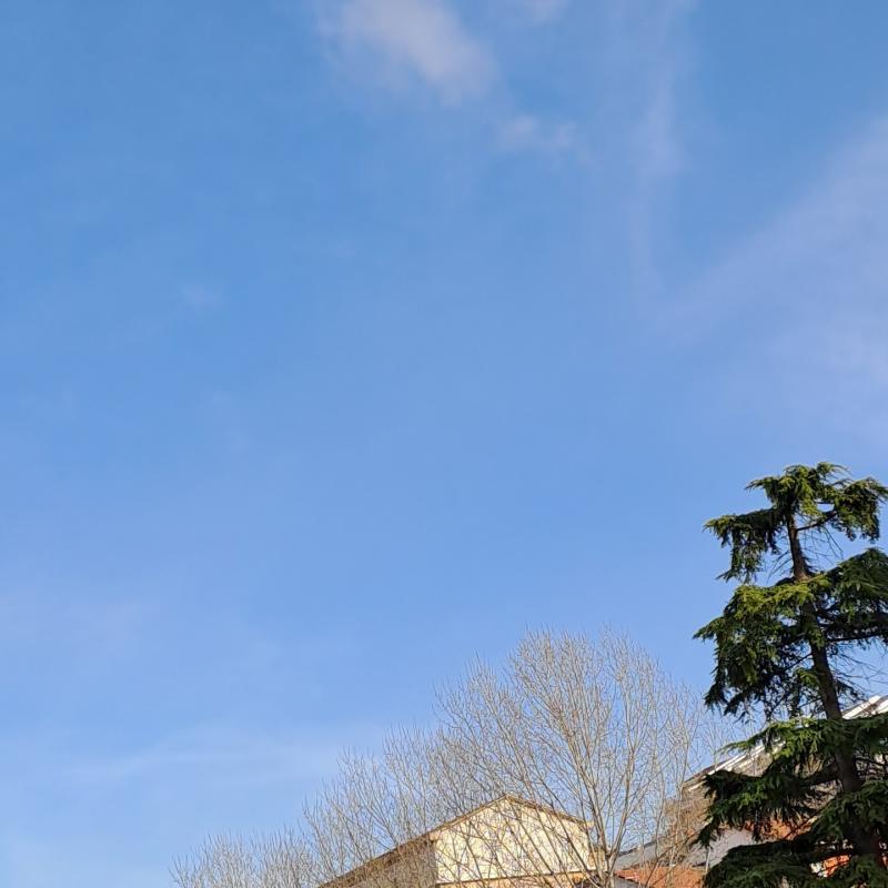 Fotosegnalazione di Montegranaro