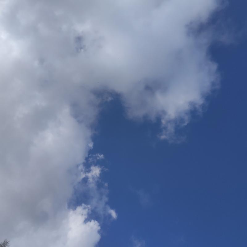 Fotosegnalazione di Borgo san lorenzo