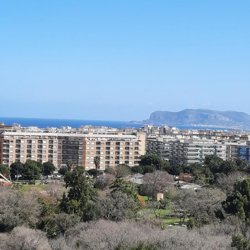 Fotosegnalazione di Palermo mezzomonreale - villa tasca