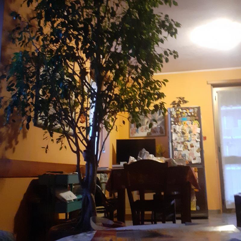 Fotosegnalazione di Collegno