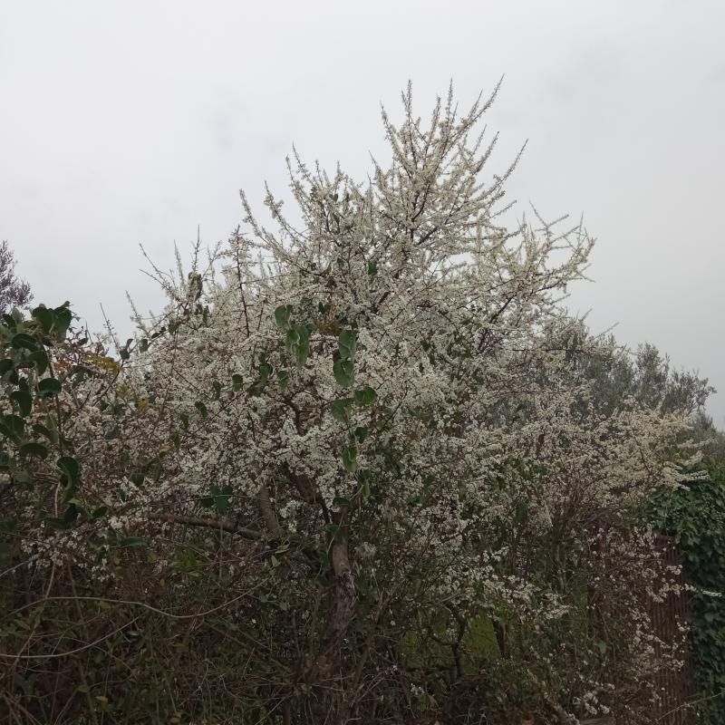 Fotosegnalazione di Palombara sabina