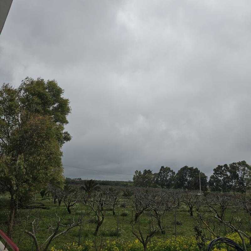 Fotosegnalazione di Gioia del colle