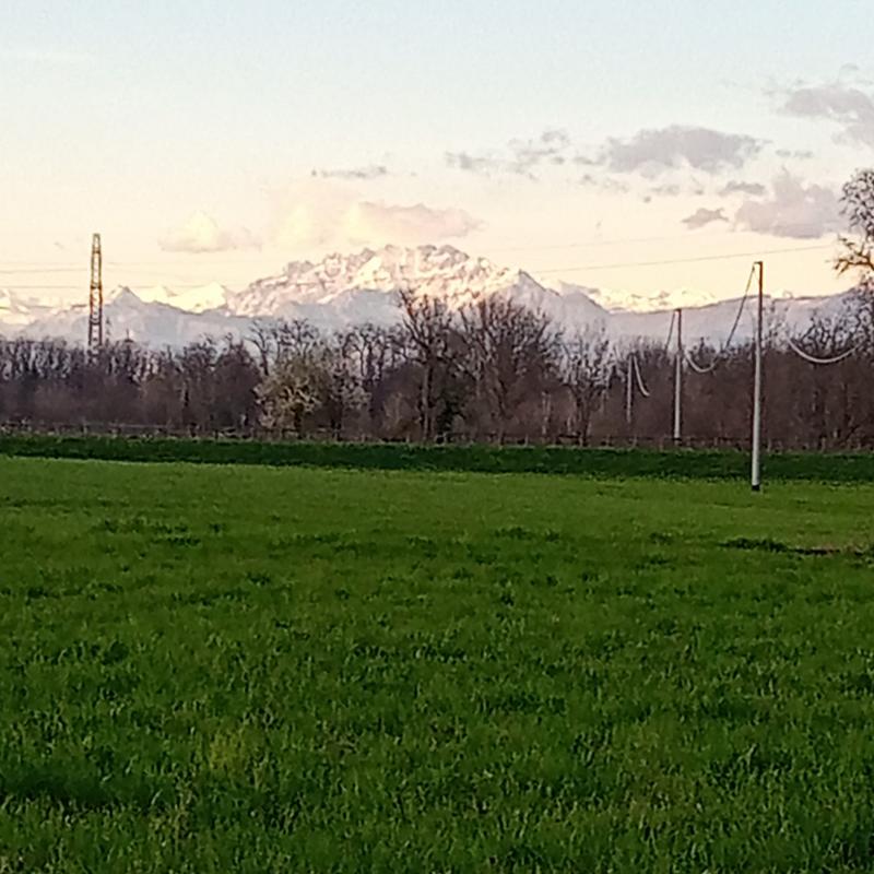 Fotosegnalazione di Pessano con bornago