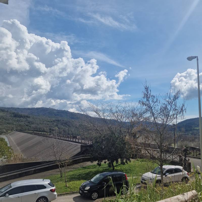 Fotosegnalazione di Rutino