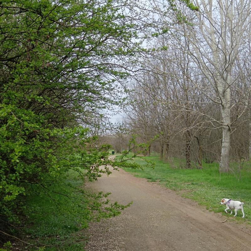 Fotosegnalazione di San giuliano milanese
