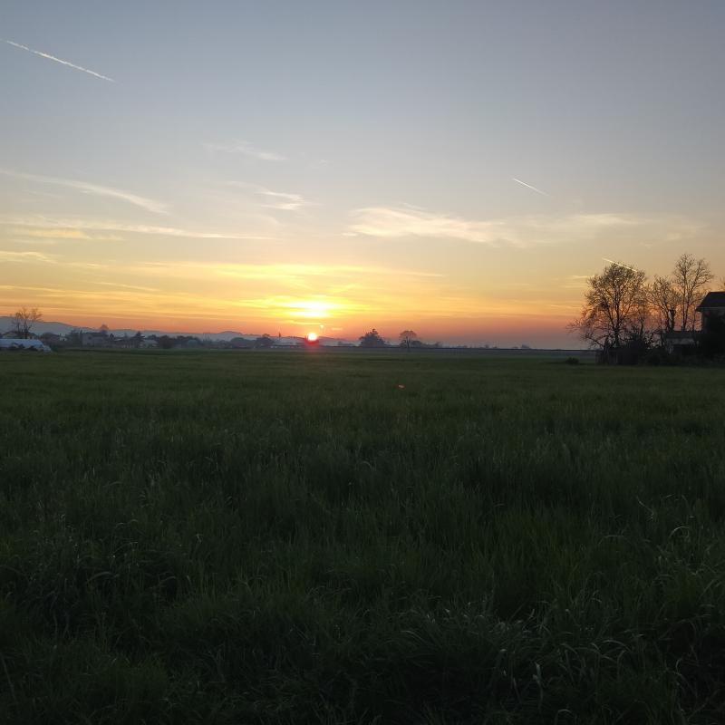 Fotosegnalazione di Forli' ovest