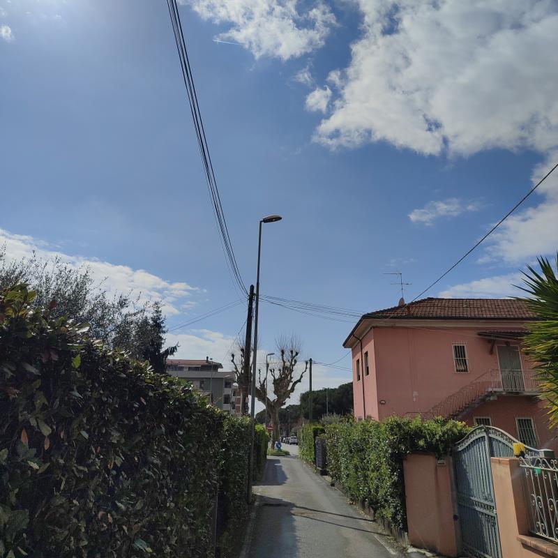 Fotosegnalazione di Carrara litorale