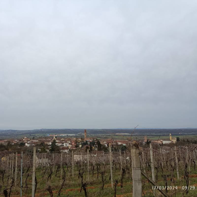 Vista dall' alto di capriata d'orba