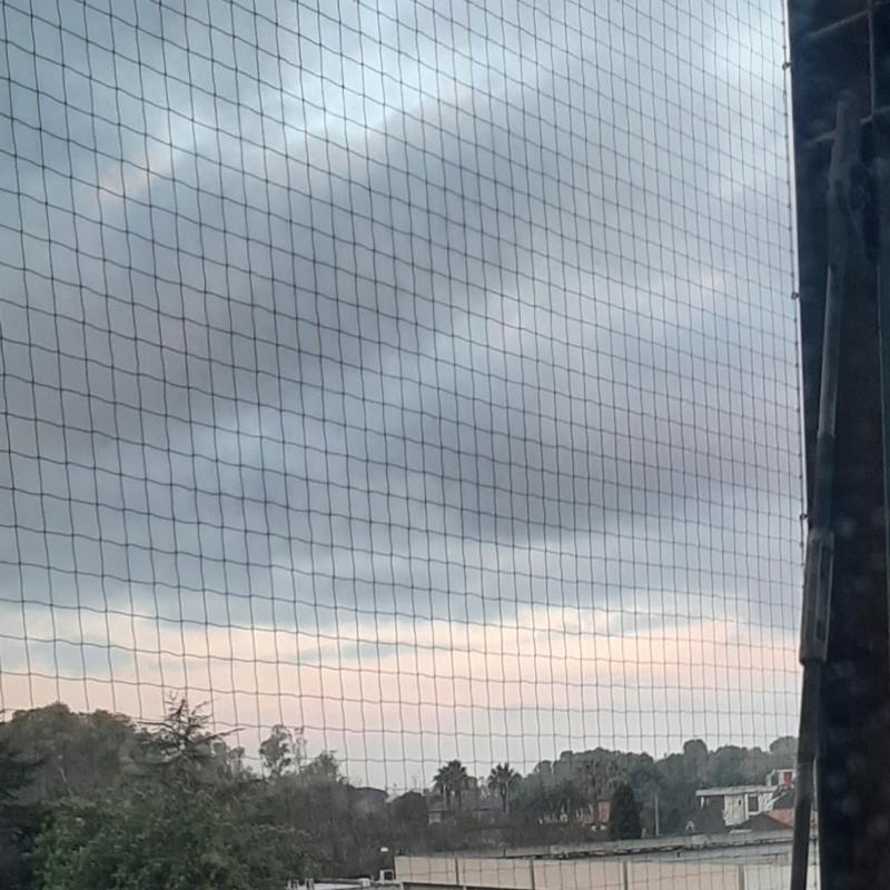 Fotosegnalazione di Latina centro urbano