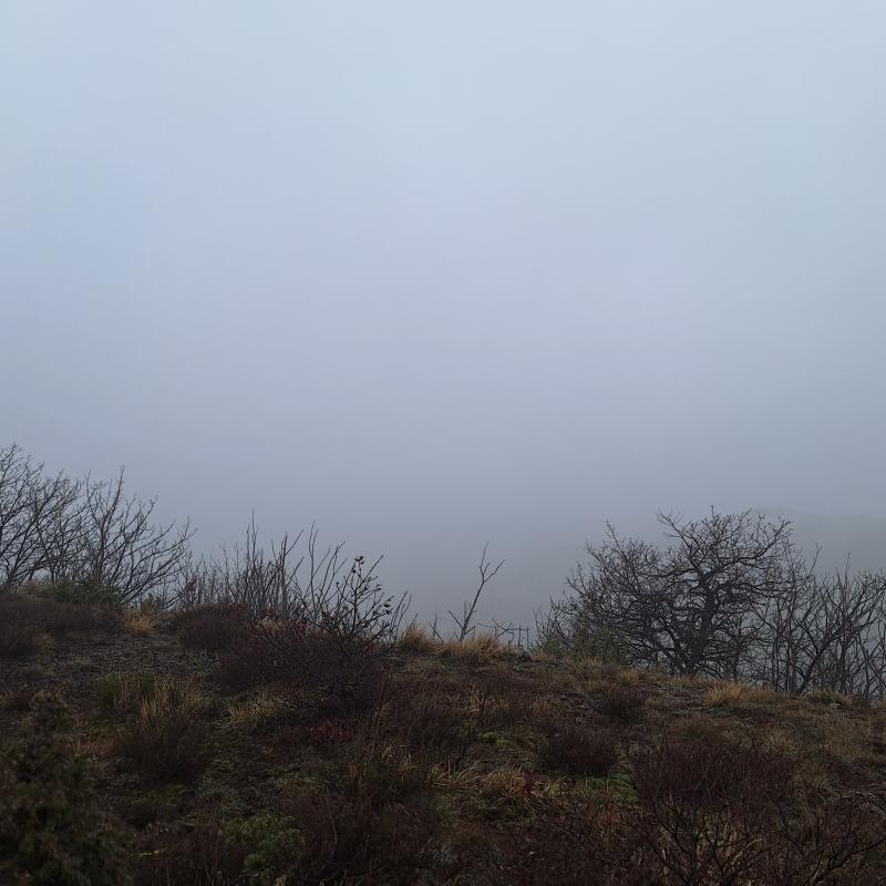 Fotosegnalazione di Arquata scrivia
