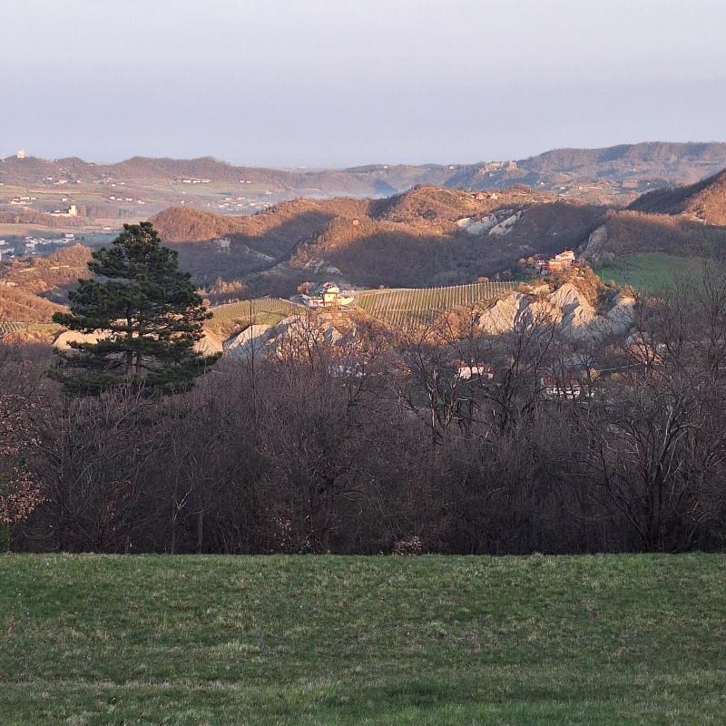 Fotosegnalazione di Arquata scrivia