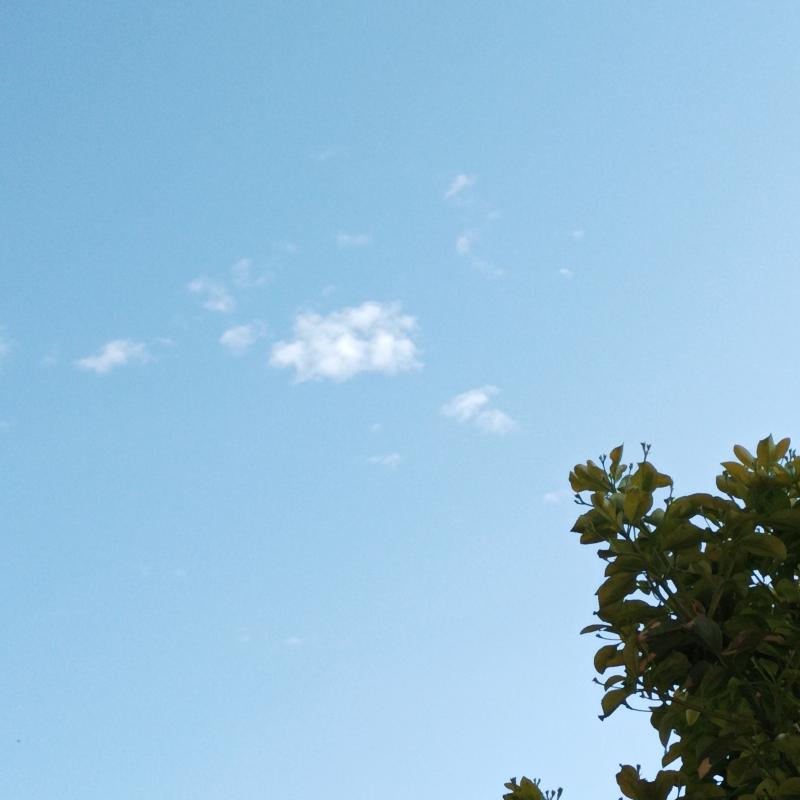 Fotosegnalazione di Garlasco