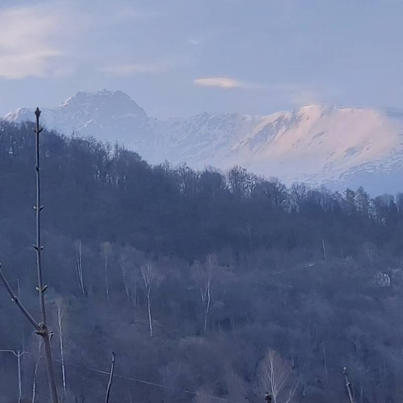 Fotosegnalazione di Graglia